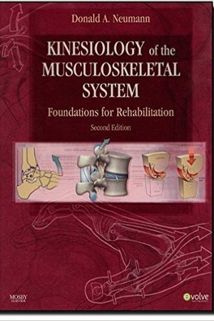 Kinesiology of the Musculoskeletal System: Foundations for Rehabilitation